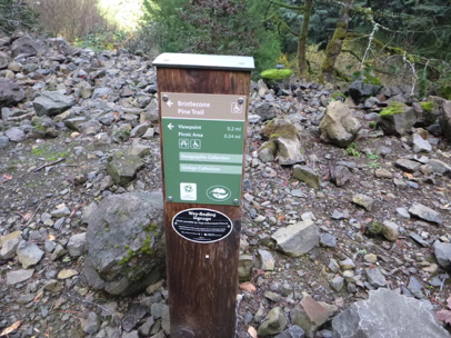 Signage for Bristlecone Pine Trail
